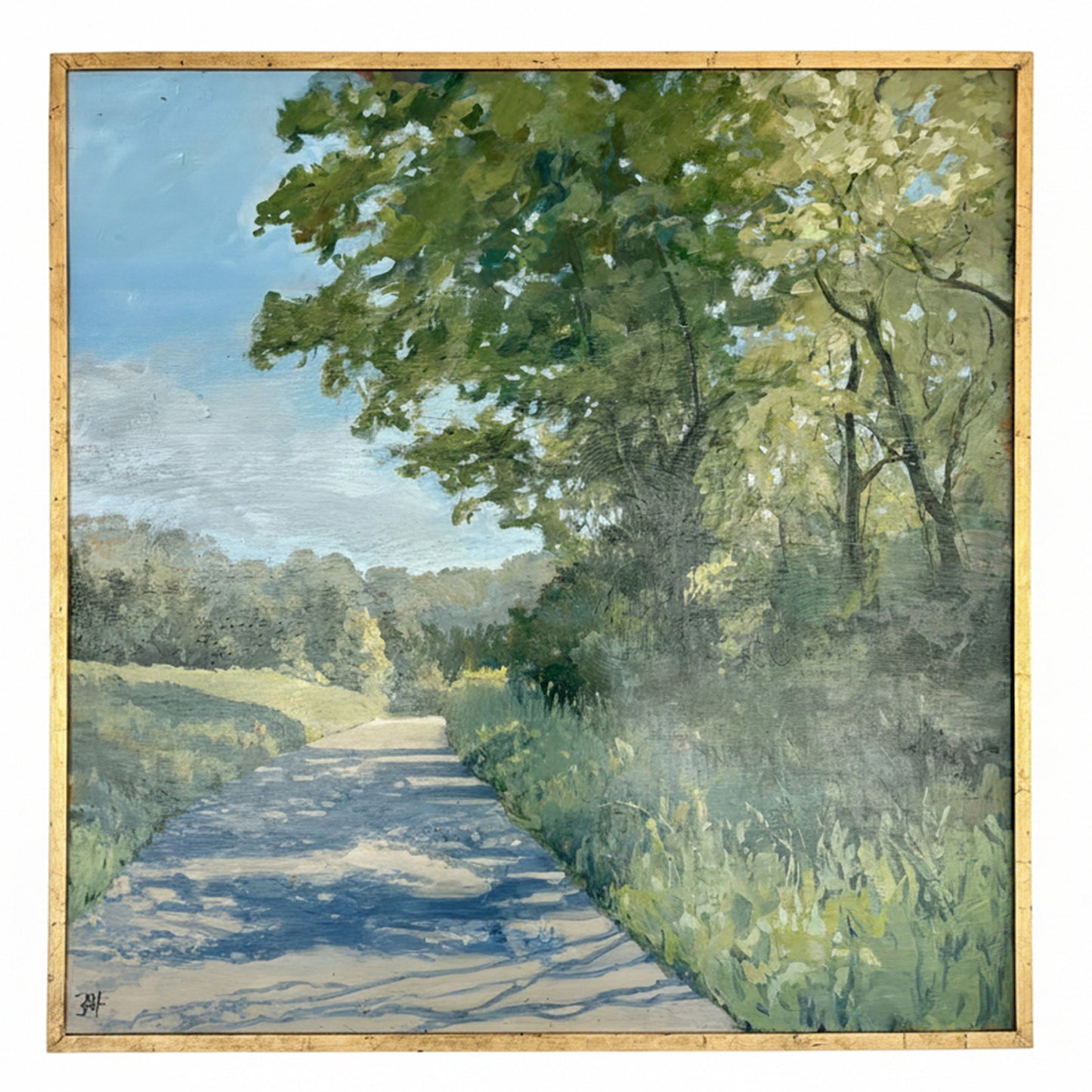 A Walk Under the Shadows