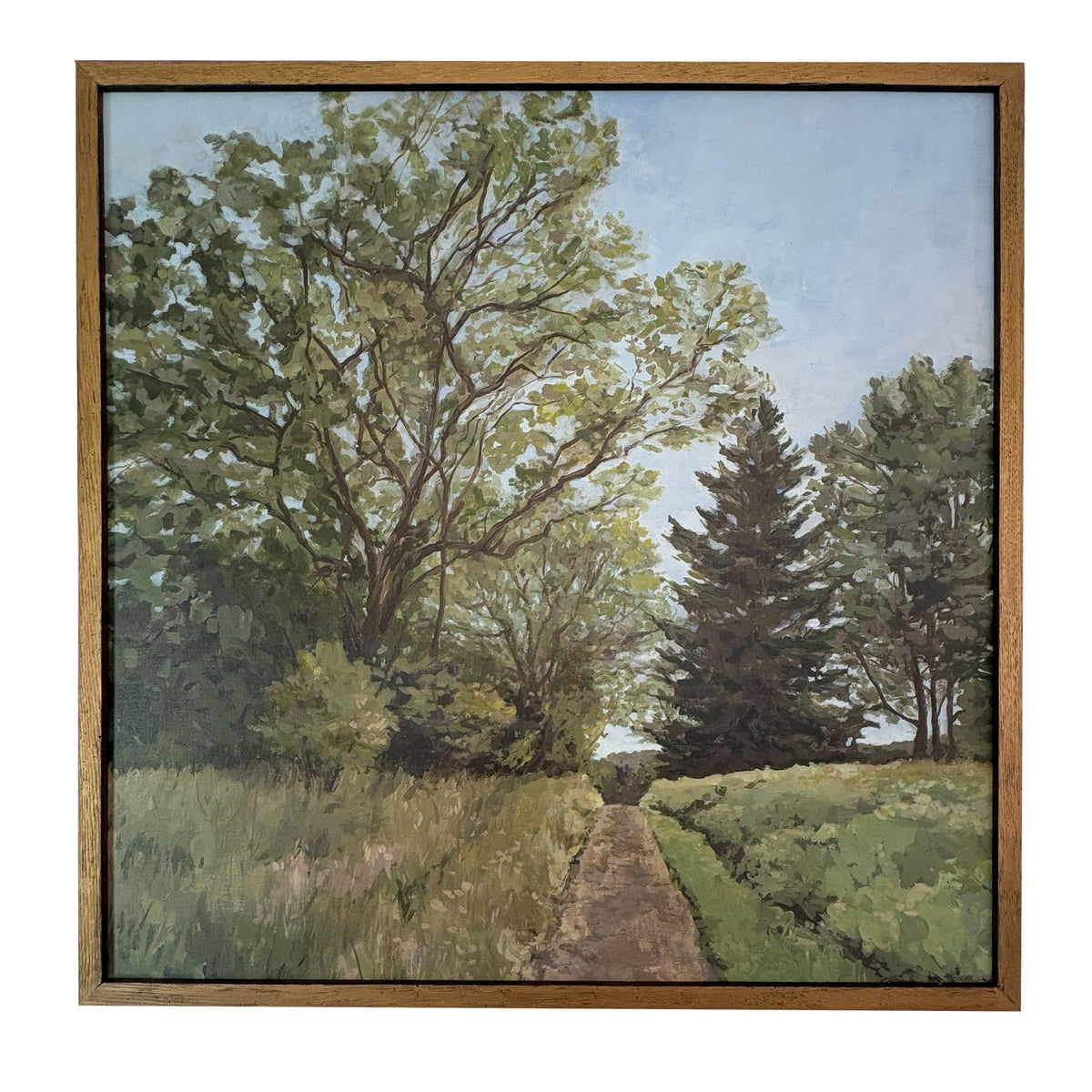 Sycamore Lane